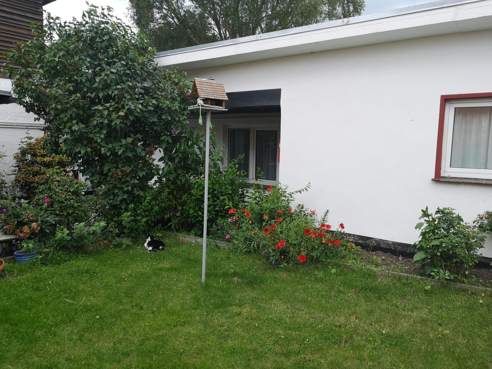 Uschi'S Gasthof Neuendorf  Εξωτερικό φωτογραφία